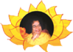 logo_icon